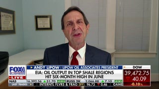 We are stuck between $80 to $85 a barrel in the near-term future: Lipow Oil Associates President - Fox Business Video