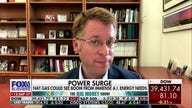 Natural gas has an important role in 'balancing' the energy grid: Daniel Cohen