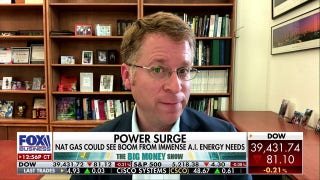 Natural gas has an important role in 'balancing' the energy grid: Daniel Cohen - Fox Business Video