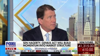Americans need to lead in stablecoin industry, GOP senator says
