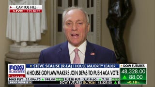 Radical left ready to trigger another government shutdown, GOP rep warns