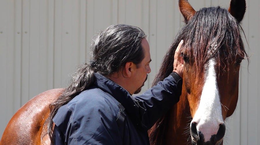 Memorial Day: Wild Mustangs Help Veterans Heal Through Wyoming Ranch Program