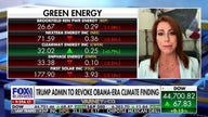 Doing away with Obama-era climate finding is the 'official end of the green new scam': Ex-EPA official