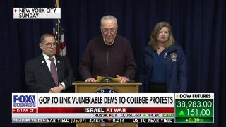 Democrats divided over anti-Israel demonstrations - Fox Business Video