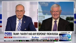 You have to be very careful pushing Putin close to the edge: Newt Gingrich
