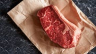 Meatpackers grilled by Congress amid rising prices