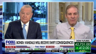 Jim Jordan says 'the bigger takeaway' from Tesla vandalism is 'just how crazy the Democrats have become'