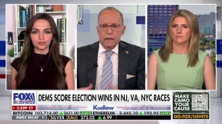 Citizens will have to endure ‘pain’ to learn consequences of their vote after Dem election wins, says columnist