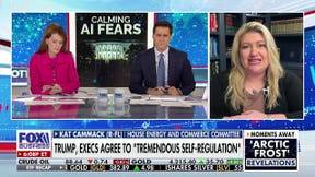 Rep. Kat Cammack, R-Fla., discusses President Donald Trump’s meeting with artificial intelligence leaders at the White House and the signing of the White House Accord on SI on ‘The Bottom Line.’