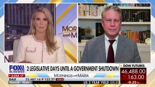 Progressives simply don’t like Trump, Republicans ‘paring back size of government’: GOP lawmaker