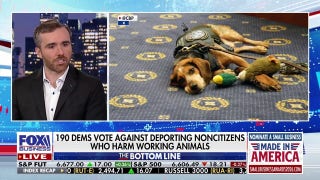 190 Democrats vote against deporting noncitizens who harm law enforcement animals