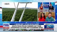 El Paso pecan farmers say illegal immigration crisis threatens their livelihood