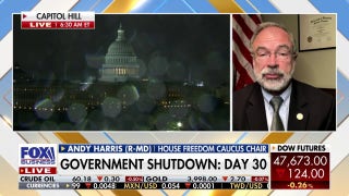 Rep. Andy Harris warns Democrats’ shutdown stalling has hit ‘a breaking point’