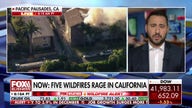 Luxury realtor details impact of LA wildfires on market, fire insurance costs