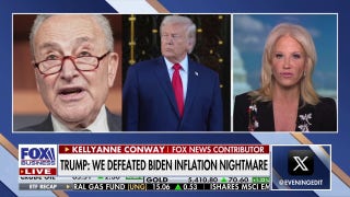 Kellyanne Conway discusses border security, Antifa, and government shutdown - Fox Business Video