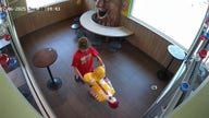 Ronald McDonald statue 'McNapped' from Pennsylvania fast-food restaurant in surveillance footage