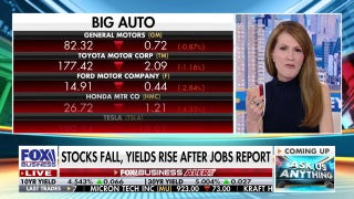 Dagen McDowell warns against Fed's aggressive rate hikes, recalls Greenspan's dot-com era actions