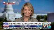 We must wean everyone off of the Russian energy sales, expert says