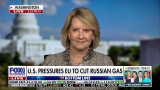 We must wean everyone off of the Russian energy sales, expert says