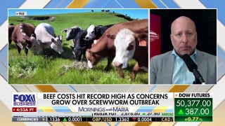 Omaha Steaks CEO: Beef prices tied to historic herd lows, recovery years away