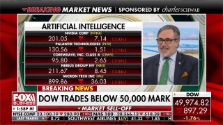 Semiconductor stocks’ pullback is a ‘healthy’ correction, Market Vector Indexes CEO says