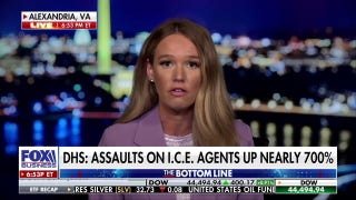 Dems have ‘villainized’ ICE agents, DHS official says