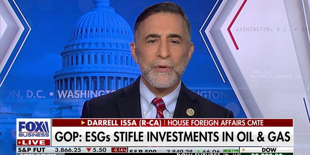 Rep. Darrell Issa: Government is the reason we have inflation | Fox ...