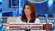 Tammy Bruce: Democrats promote 'panic' and 'chaos' for power