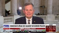 Border crisis is the 'biggest issue' in the country: Sen. Steve Daines