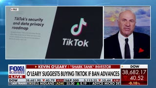 Kevin O'Leary eyes TikTok: 'I'm very interested' - Fox Business Video