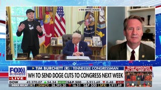 Elon Musk deserves a ‘medal’ for DOGE work, GOP lawmaker argues
