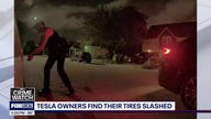 Pair of Teslas vandalized by same suspect in Texas