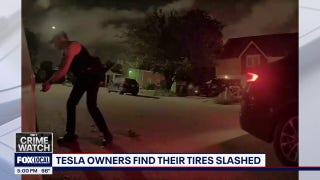 Pair of Teslas vandalized by same suspect in Texas - Fox Business Video