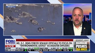 ‘Completely irresponsible’: GOP lawmaker blasts Democrats over shutdown