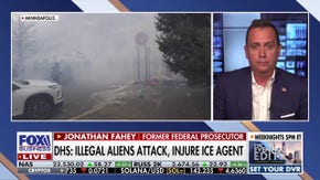 The media is &lsquo;dehumanizing&rsquo; ICE agents: Ex acting ICE head - Fox Business News