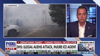 The media is ‘dehumanizing’ ICE agents: Ex acting ICE head