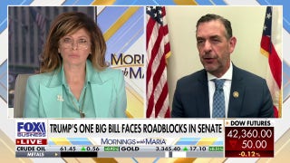 House lawmaker rips Senate over budget bill roadblocks: 'This house of lords has to go away'