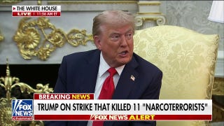 President Trump: The Democrats have lost their mind