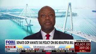 Israel is doing the Middle East a favor, Sen. Tim Scott admits