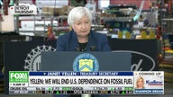  Janet Yellen is saying things she knows are false: Economic expert