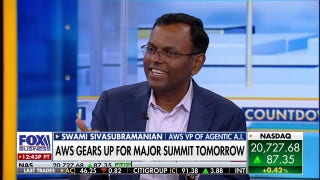 AI agents will transform the way we work, Swami Sivasubramanian explains