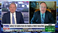Biden admin’s green policies continue to ‘challenge’ the timber industry: Scott Dane