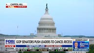 Trump demands Senate to skip August recess and pass voter ID legislation