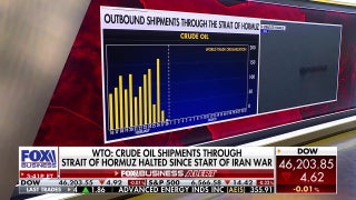 CEO details ‘several lessons’ Americans can learn amid surging energy prices