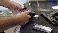 Potential executive action creating investor opportunity in gun stocks?