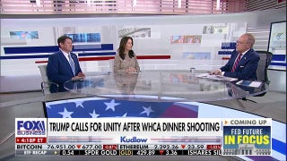 Democratic Party ‘normalizing’ rhetoric that incites violence: Miranda Devine