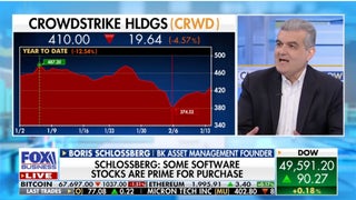 Founder details 'Goldilocks situation’ for software companies and AI