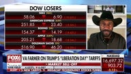 Trump tariffs are causing ‘havoc’ for American farmers: Virginia farmer
