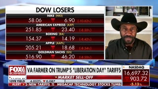Trump tariffs are causing ‘havoc’ for American farmers: Virginia farmer