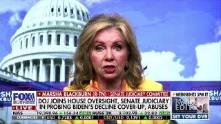 Who was the Biden administration's 'cabal behind the curtain'?